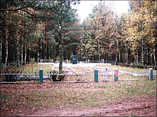 Dzisna. Cmentarz żydowski