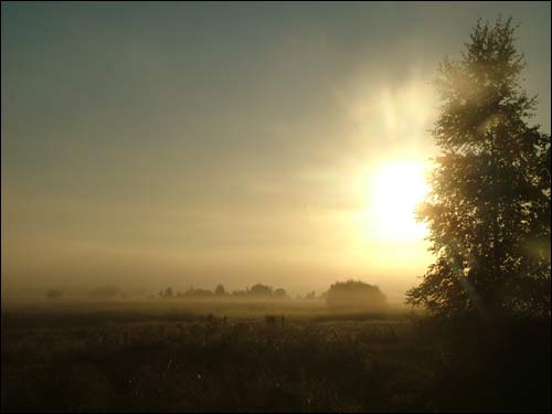  - Landscapes . Early morning in Dzisna town
