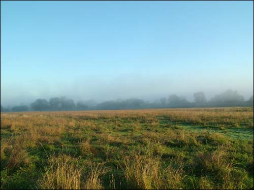  - Landscapes . Early morning in Dzisna town