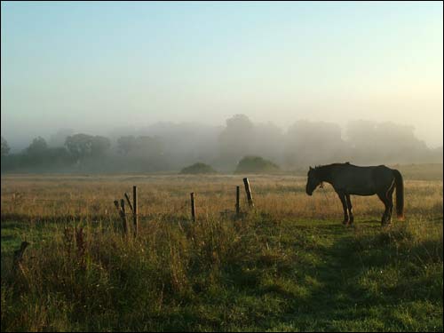  - Landscapes . Early morning in Dzisna town