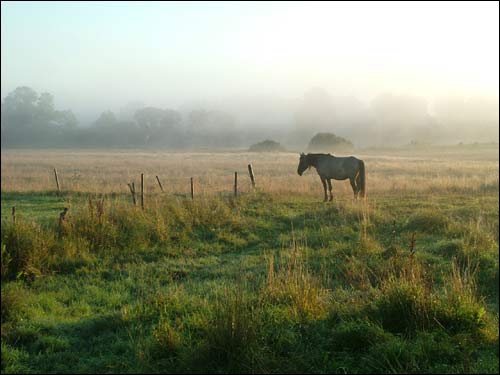  - Landscapes . Early morning in Dzisna town