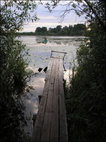  - Landscapes . 