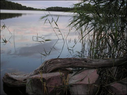  - Landscapes . 