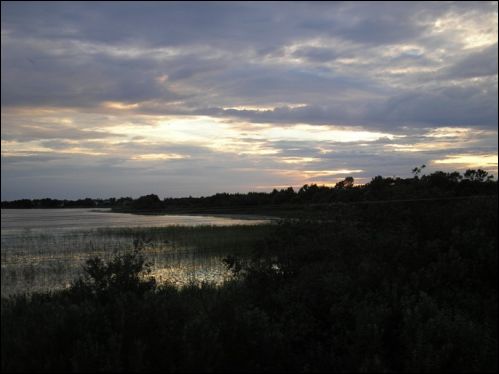  - Landscapes . 