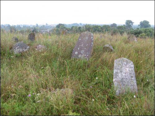 Duniłowicze. Cmentarz żydowski