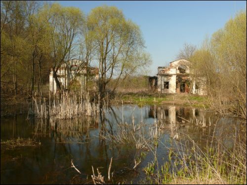 Krykały. Park dworski Abramowiczów