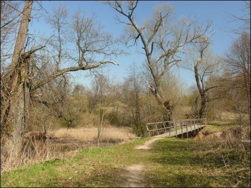 Mańkavičy. Manor park 