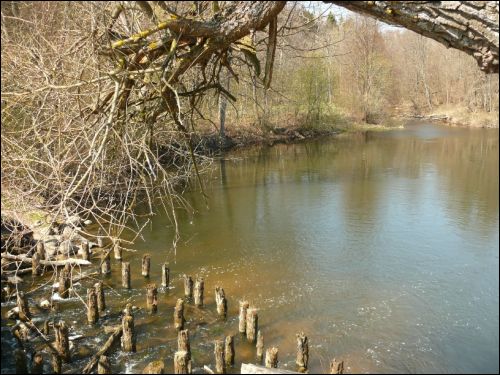 Mańkavičy. Manor park 
