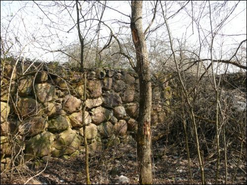 Mańkavičy. Manor park 