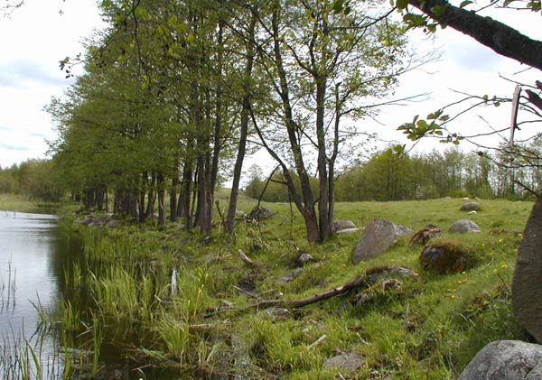 Serenczany.   Dolina kamieni