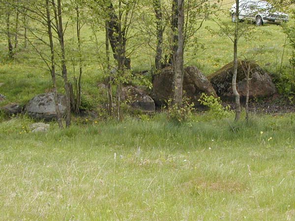Sarančany.  Valley of Stones