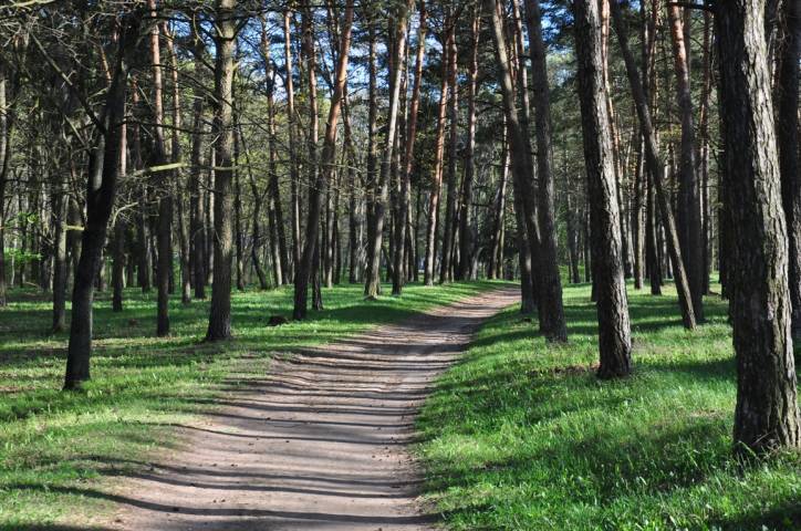 Varapajeva. Manor park 