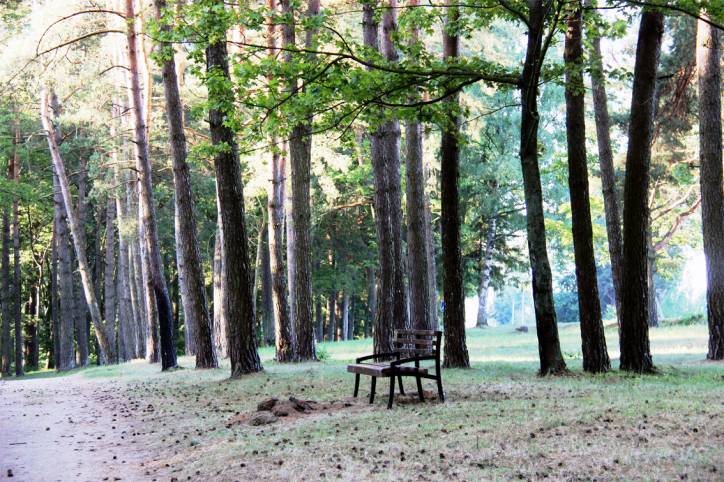 Varapajeva. Manor park 
