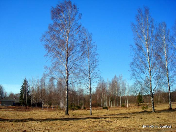 Juravičy. Landscapes 