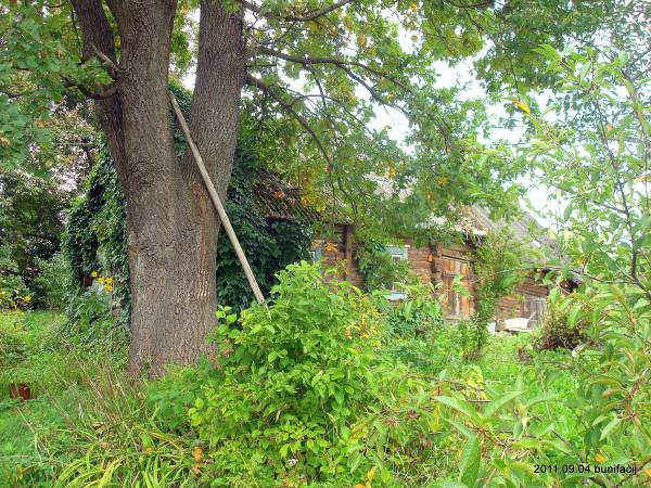 Poludowicze. Krajobrazy 