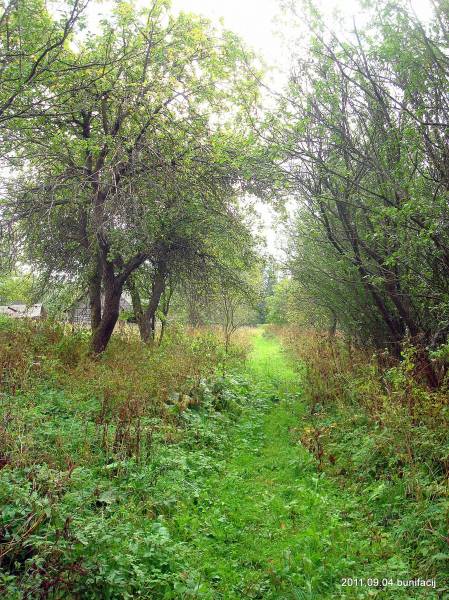 Poludowicze. Krajobrazy 