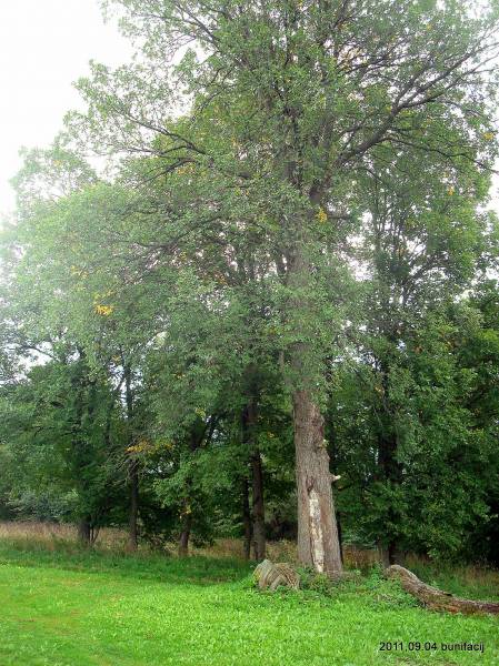 Poludowicze. Krajobrazy 