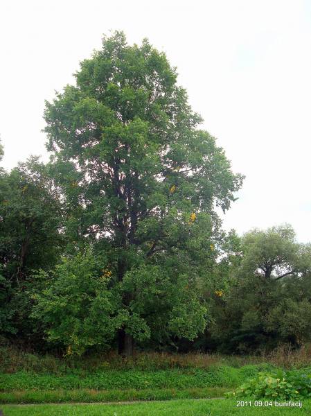 Poludowicze. Krajobrazy 