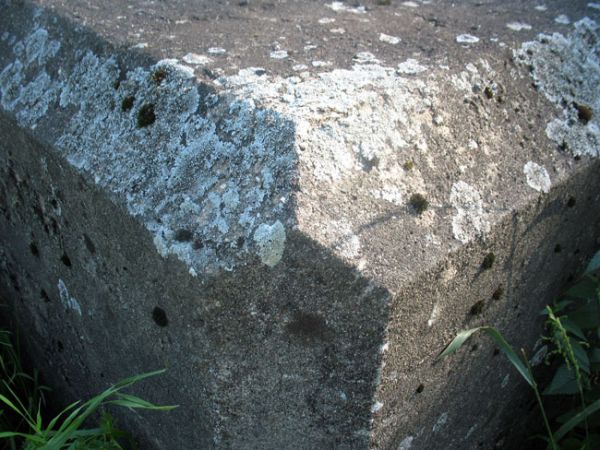 Połack.  German Fortifications from Second World War time