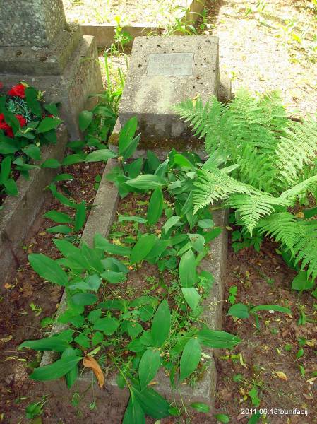 Połack. cemetery Čyrvonyja