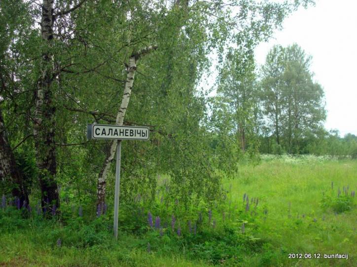  - Пейзажи . Солоневичи