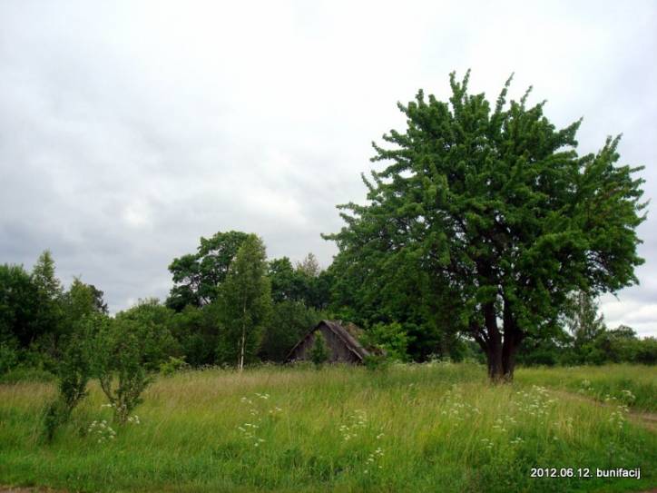 Sałanievičy. Landscapes 