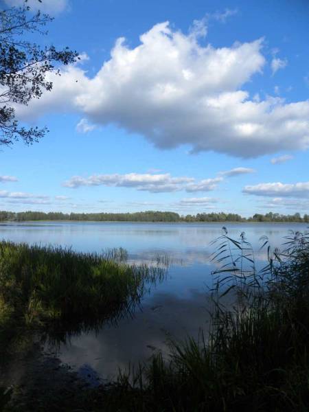 Cielachany. Landscapes 