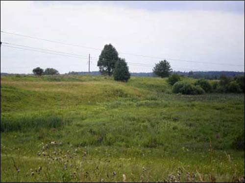 Struń. Krajobrazy 