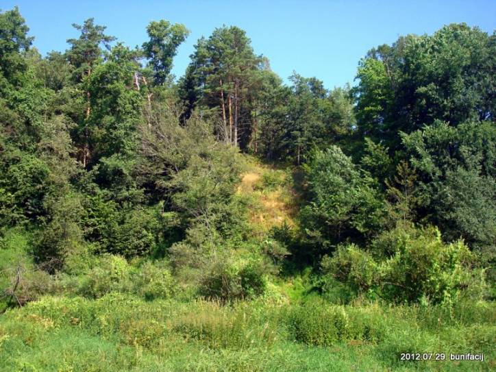Turoŭla. Site of ancient settlement 