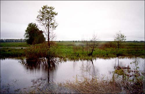 Cielachany.   Ahinski canal