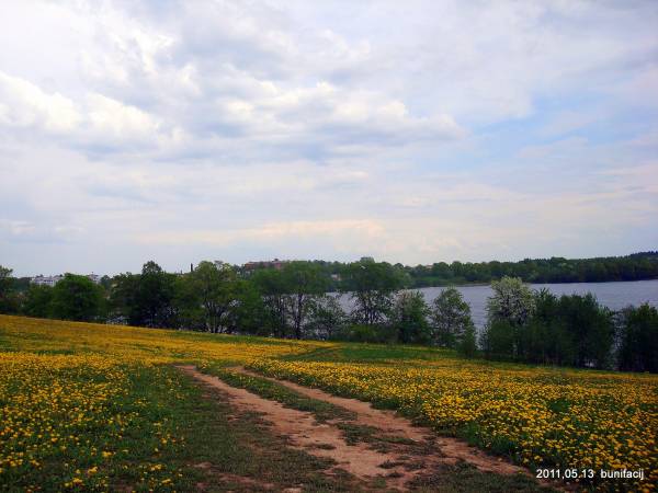  - Краявіды . 