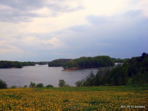  - Краявіды . 