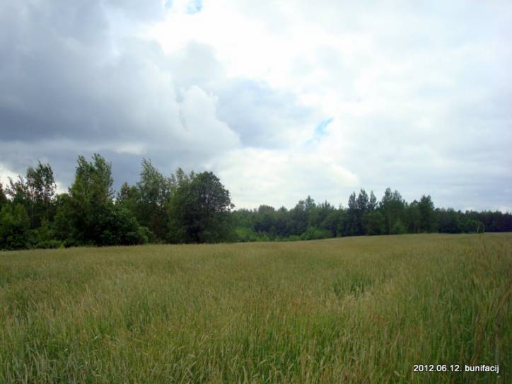 Vuhły. Landscapes 