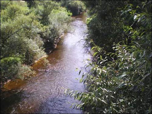 Захарнічы. Краявіды 