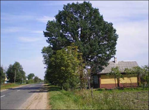 Захарнічы. Краявіды 