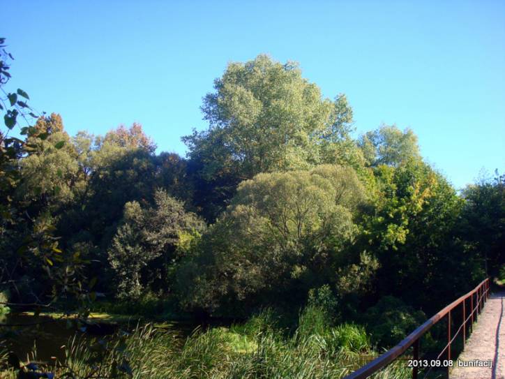  - Landscapes . 
