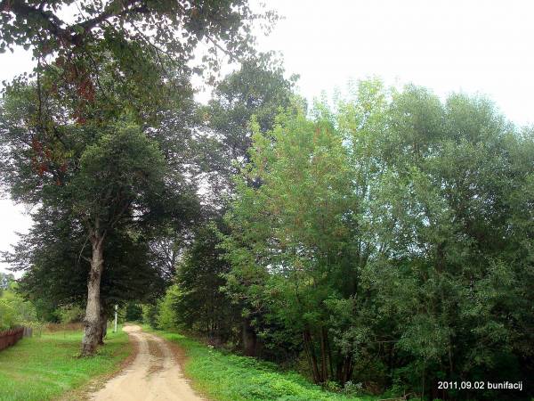  - Landscapes . 