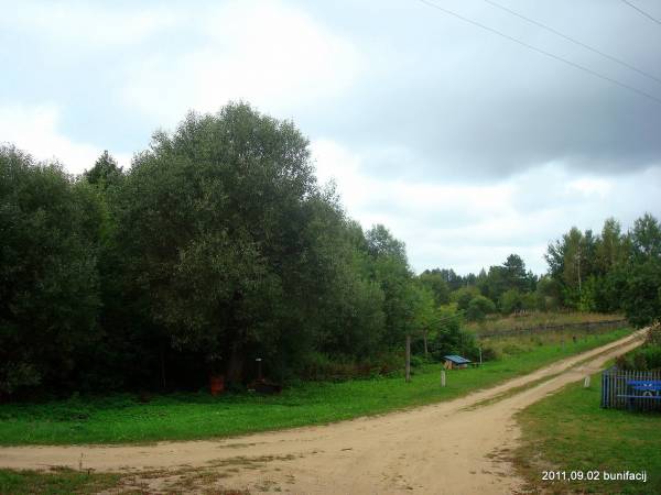  - Landscapes . 