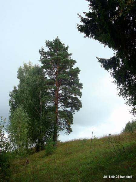  - Landscapes . 