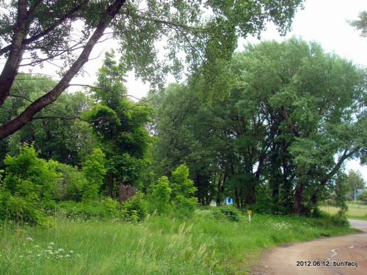 Dvor Plina. Landscapes 