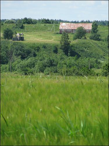 Друцк. Гарадзішча 