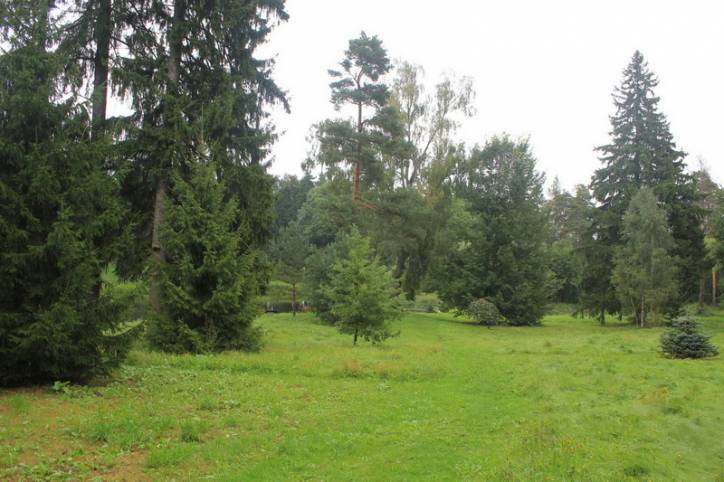  - Park dworski Zamoyskich. 