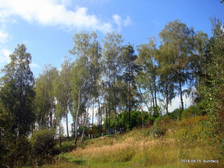Apanaskavičy. Landscapes 