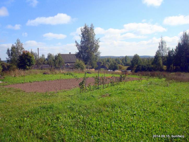 Apanaskavičy. Landscapes 