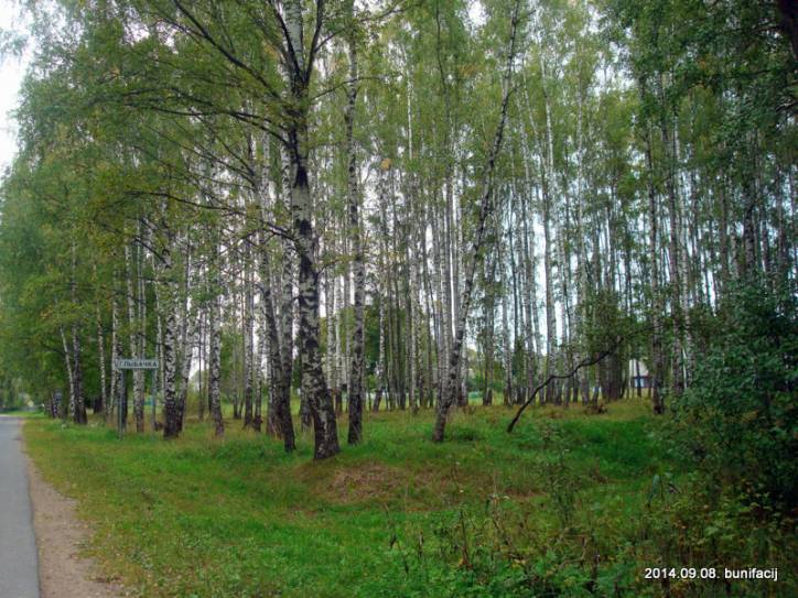  - В деревне . На въезде в деревню