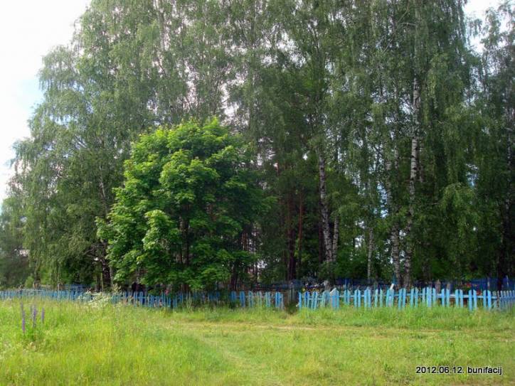 Saročyna. Landscapes 