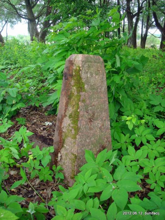  - Cmentarz stary katolicki. 