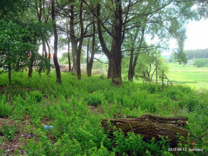  - Cmentarz stary katolicki. 