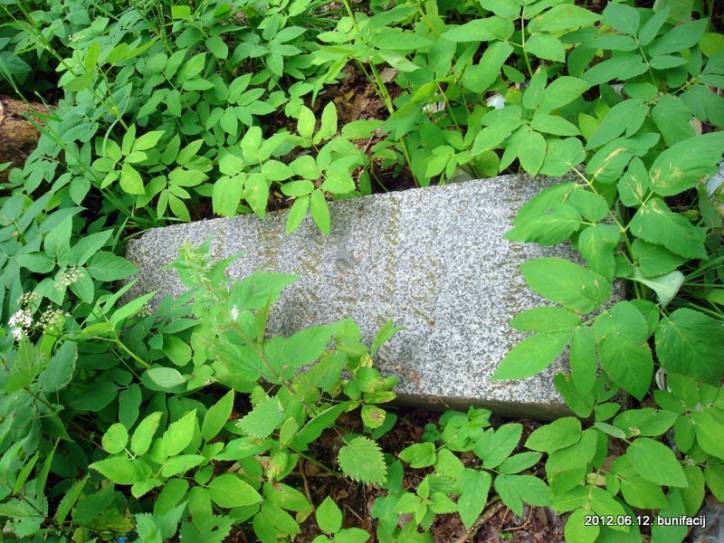  - Cmentarz stary katolicki. 