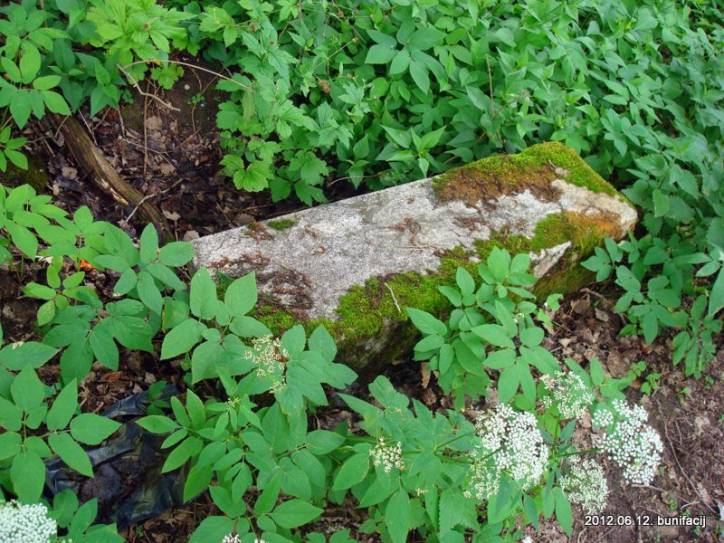  - Cmentarz stary katolicki. 